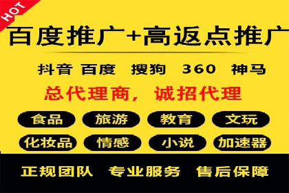 网络推广与竞价策略实战案例